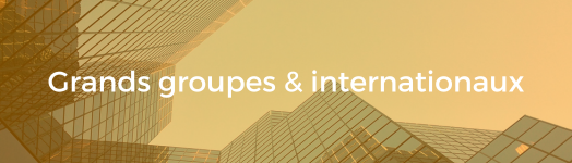 Bouton cliquable : Nos clients - Grands groupes & internationaux