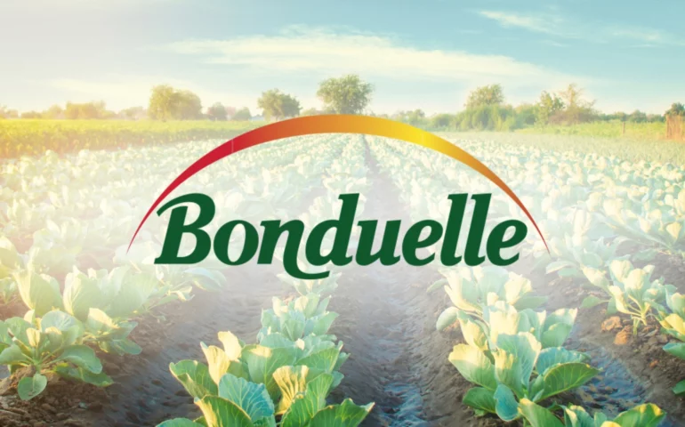 champs bonduelle et mandarine academy