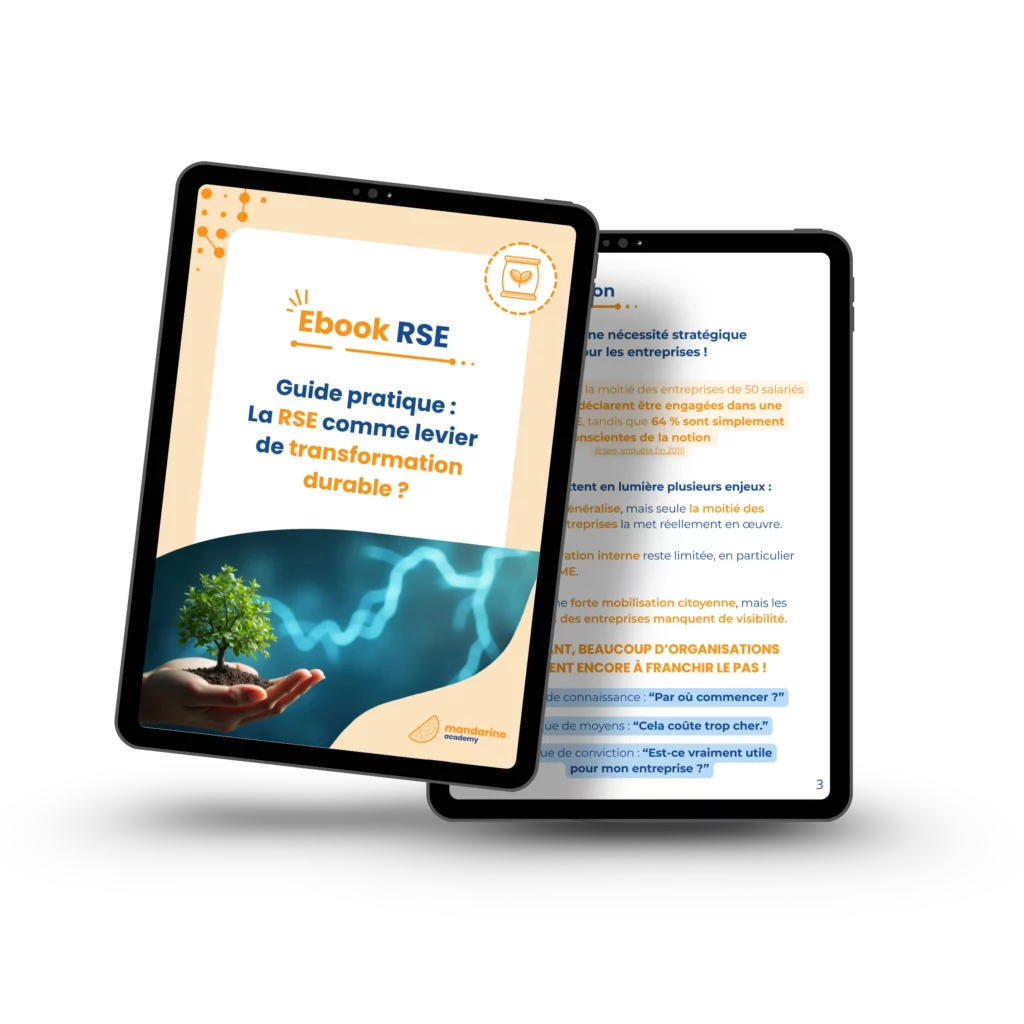 Ebook RSE transformation durable