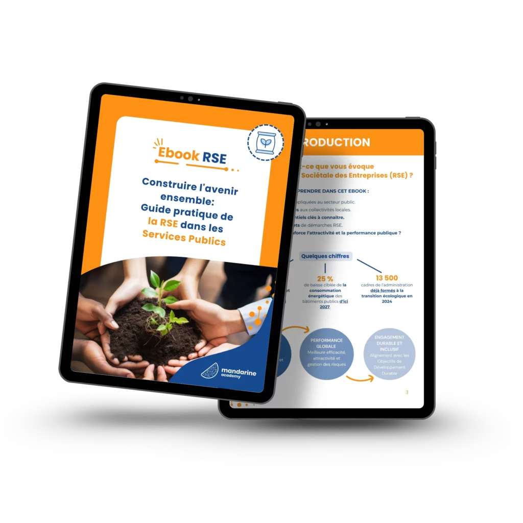 Ebook RSE services publics